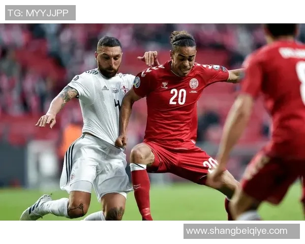 欧洲杯:瑞士与土耳其战平,精彩纷呈的对决引发热议 欧洲杯:瑞士与土耳其战平,精彩纷呈的对决引发热议