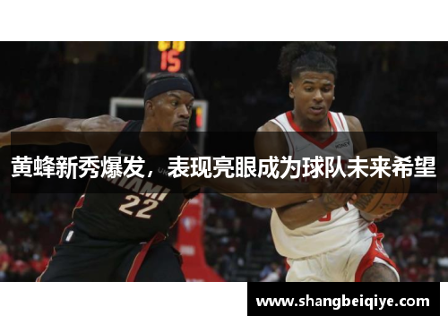 黄蜂新秀爆发，表现亮眼成为球队未来希望
